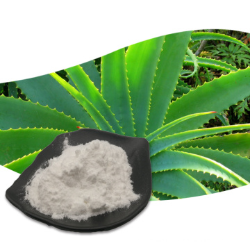 Aloe Vera Gel Freeze Dried Extract Powder